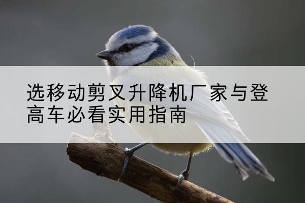 定州电动升降机厂家-选移动剪叉升降机厂家与登高车必看实用指南