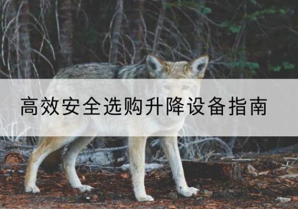 定州升降货梯厂家推荐-*安全选购升降设备指南